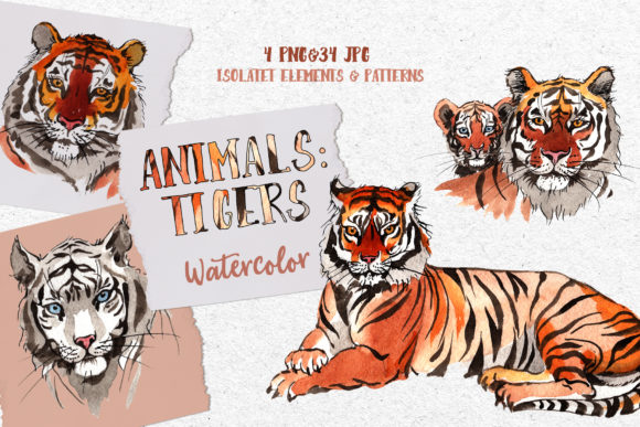 Animals Tigers Watercolor: A Timeless Blend of Wild Majesty and Artistic Expression