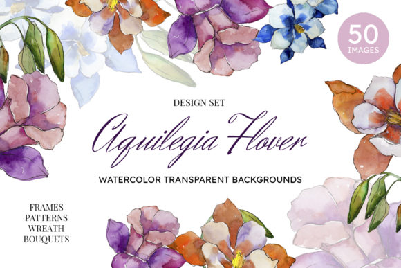 Aquilegia Flowers: The Velvet Season Watercolor Aesthetic in Nature and Art