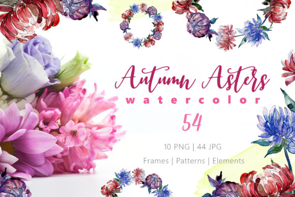 Autumn Asters Watercolor: A Botanical Palette for Expressive, Seasonal Painting
