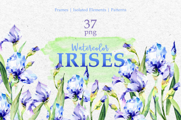 Blue Watercolor Irises PNG Set: A Versatile Resource for Designers, Educators, and Creative Professionals