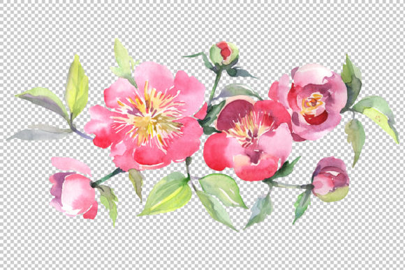 Bouquet with Tea Pink Roses Watercolor: A Timeless Blend of Botanical Beauty and Artistic Expression