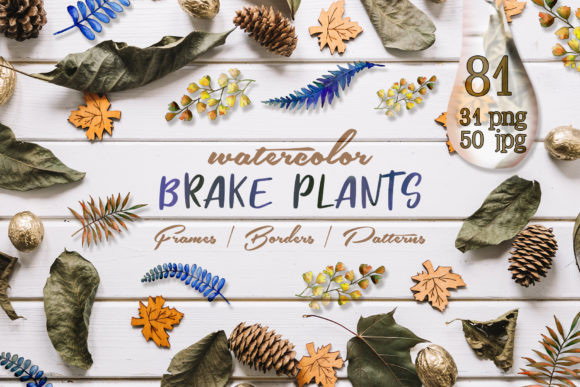 Brake Plants Watercolor Set: A Creative Tool for Nature Lovers and Artists Alike
