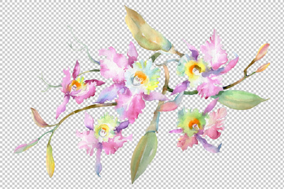 Branch of Pink Orchids Watercolor: A Timeless Art Form with Modern Relevance
