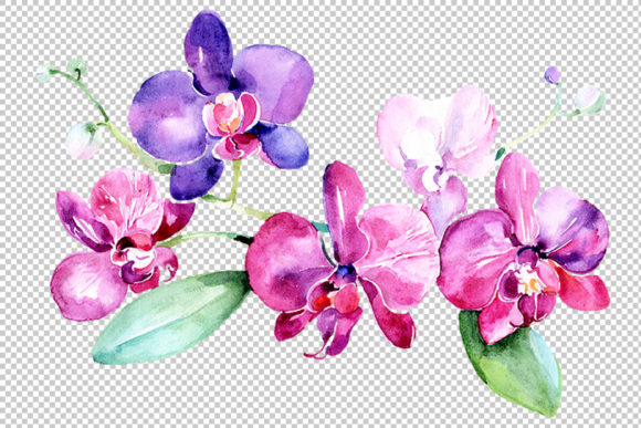 Branch of Purple Orchids Watercolor Set: A Thoughtful Palette for Expressive Color Work