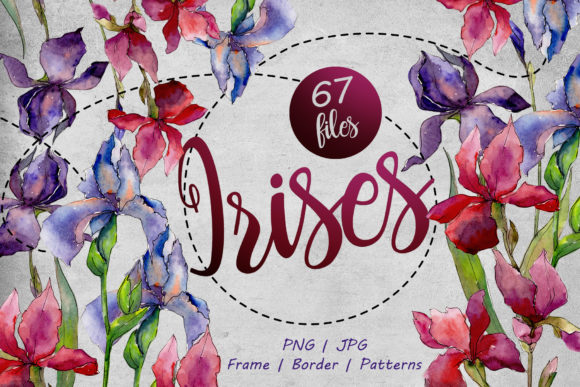 Colorful Irises Watercolor Set: A Thoughtful Palette for Everyday Creativity