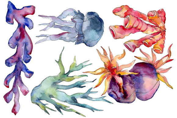 Corals Blue, Red and Green Watercolor: A Practical Palette for Real Creative Work