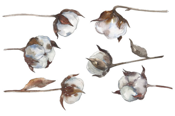 Cotton 2 Watercolor: Where Sustainable Material Science Meets Expressive Craft