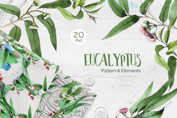 Eucalyptus Branch Watercolor PNG: A Quietly Versatile Design Asset