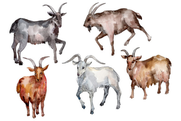 Farm Animals Goat Watercolor: A Practical Guide for Creators and Educators