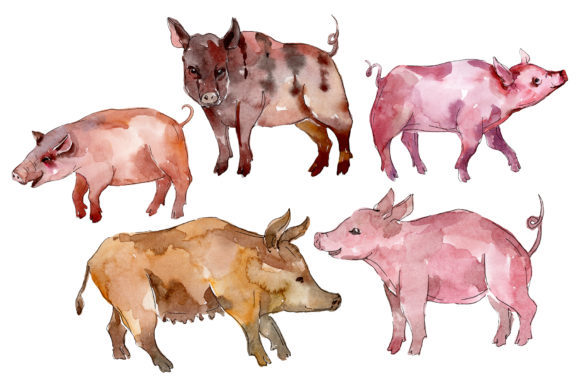 Farm Animals Pig Boar Watercolor Art