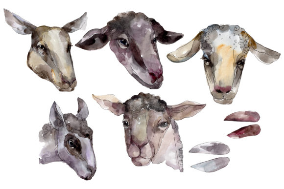 Farm Animals Ram Head Watercolor Art