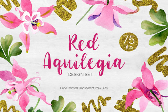 Flowers Aquilegia Red, Spring Watercolor: A Thoughtful Choice for Authentic Spring Imagery