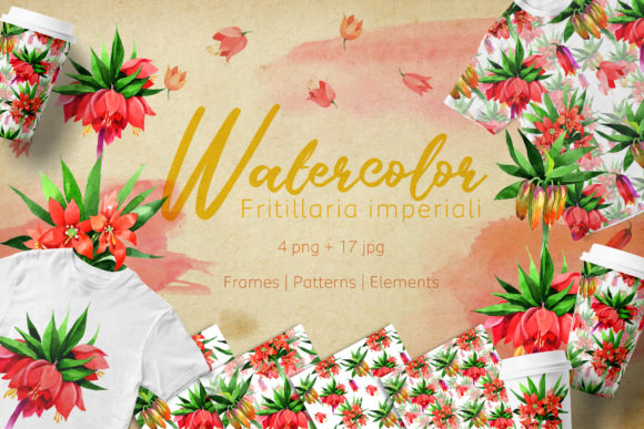 Fritillaria Imperiali Watercolor Flower Set