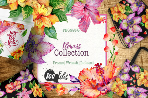 Hibiscus Watercolor Flower Set: A Creative Gateway for Artists and Educators