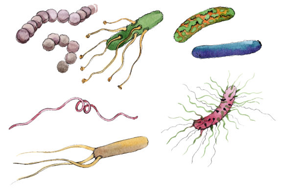Microbes 1 Watercolor PNG