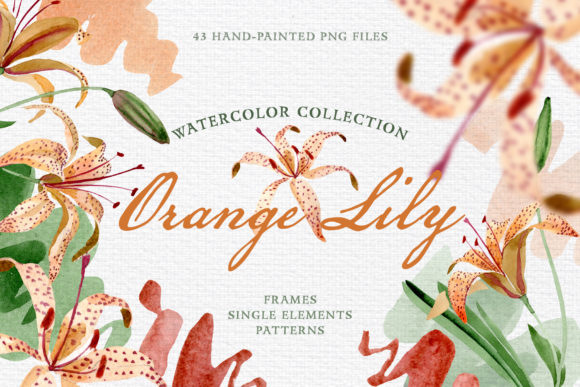 Orange Lily Watercolor: Soft, Vibrant & Versatile