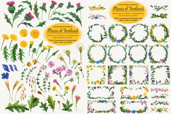 Plants of Scotland: Watercolor as a Strategic Creative Tool for Professionals