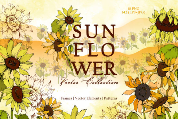 Sunflower Vector Collection: Fresh, Flexible, and Ready for Real Design Work