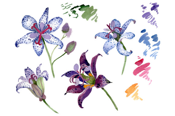 Tricitis Watercolor: A New Benchmark in Lightfast, Layerable Pigment Systems