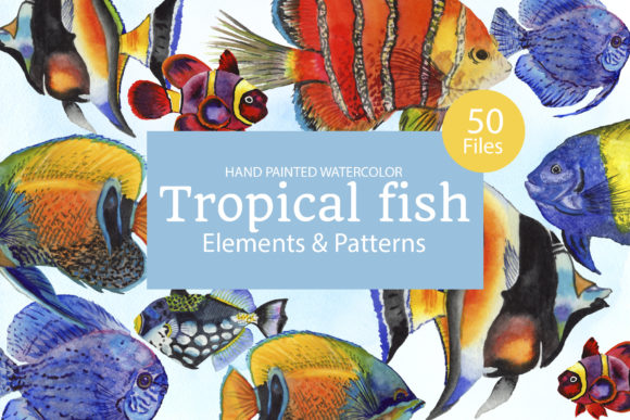 Tropical Fish Watercolor: A Distinctive Artistic Approach for Nature-Inspired Creativity