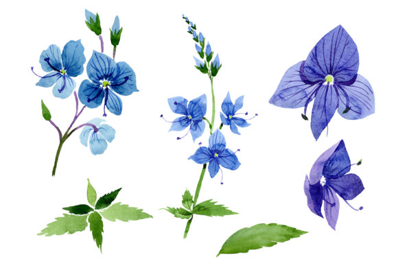Veronica Flower Blue Watercolor: A Versatile Hue for Artists, Designers, and Everyday Creatives