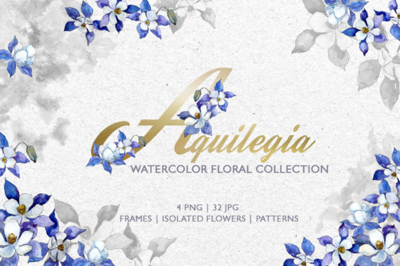 Watercolor Blue Aquilegia: A Strategic Tool for Intentional Design and Communication
