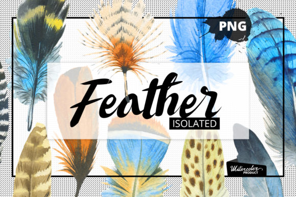Watercolor Feather and Patterns: A Creative Resource for Designers, Educators, and Craft Enthusiasts