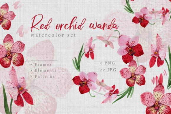 Watercolor Red Orchid Wanda Set: A Strategic Tool for Intentional Creation and Clarity