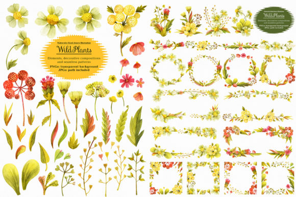 Wild Plants and the Hidden Knowledge They Hold