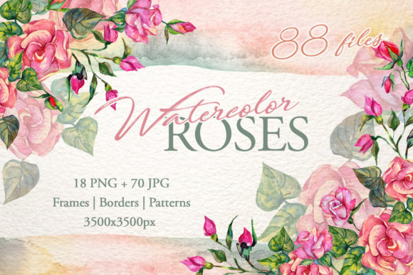 Wonderful Pink Roses Watercolor Set