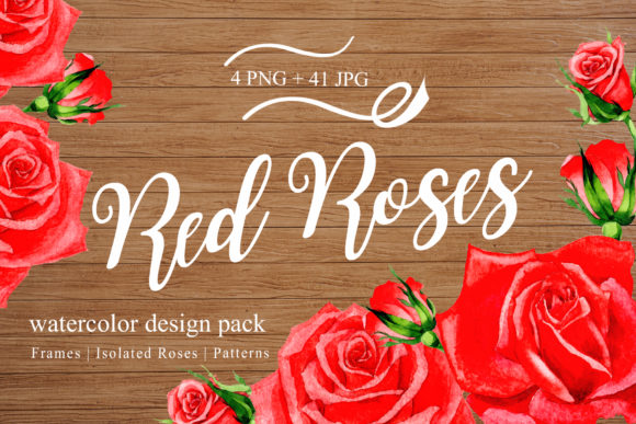 Wonderful Red Rose Watercolor Design Pack