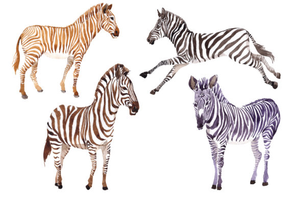 Zebra Set Watercolor: Practical Tools for Creative Work